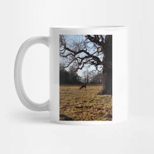 Wild deer grazing in forest Mug